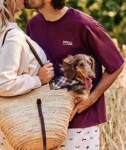 Printed cotton t-shirt dachshunds Chlosertoyou;