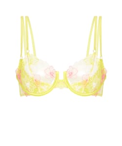 Soutien-gorge corbeille en tulle;