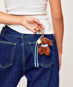 Dog keychain;