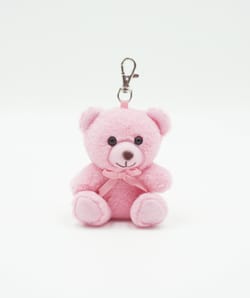 Teddy bear keyring;