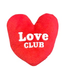 Hot water bottle heart;