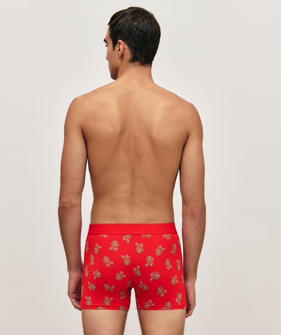 Boxer à motifs;