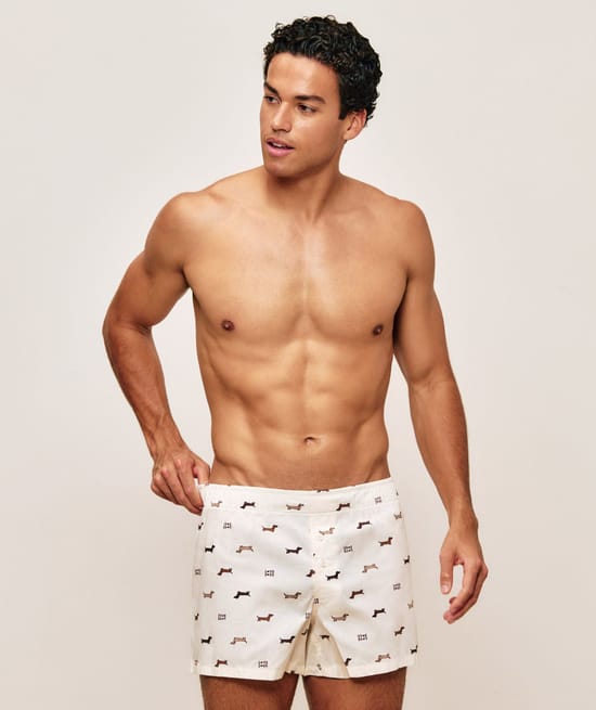 Boxers de algod&oacute;n impresos con teckels Chlosertoyou;