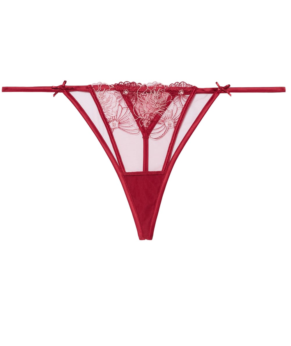 Lace and embroidery thong;