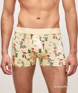 Woody Toy Story microvezel boxershort;