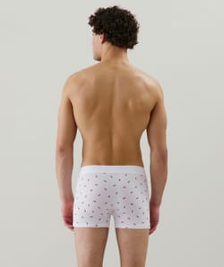 Boxer shorts with chili pepper print;