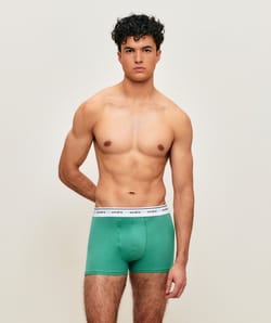 Green cotton boxer;