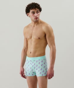 Cotton boxer shorts with pattern;