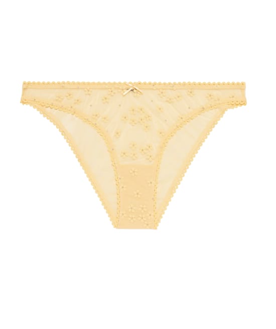 Tulle brief with embroidery;