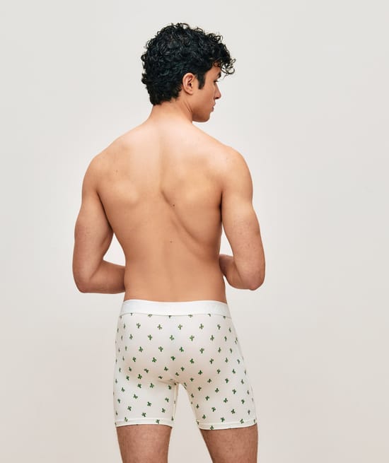 Boxer en coton avec imprim&eacute; cactus;