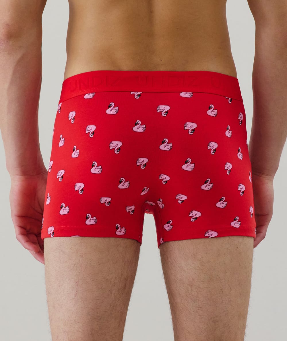 Cotton boxer shorts with pattern;