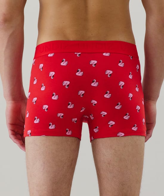 Cotton boxer shorts with pattern;