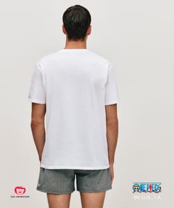 Roronoa Zoro t-shirt and boxer set;