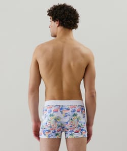Cotton boxer shorts with pattern;