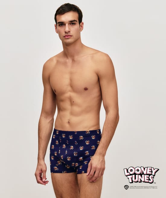 Boxer Taz;