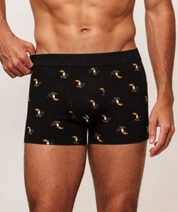 Printed cotton boxer with toucans;