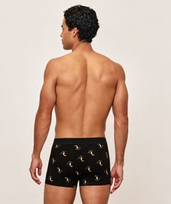 Printed cotton boxer with toucans;