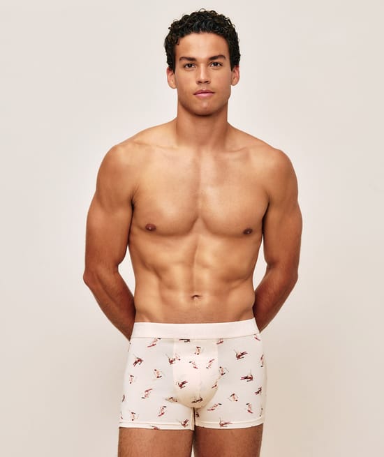 Boxer en coton imprim&eacute; skieurs;