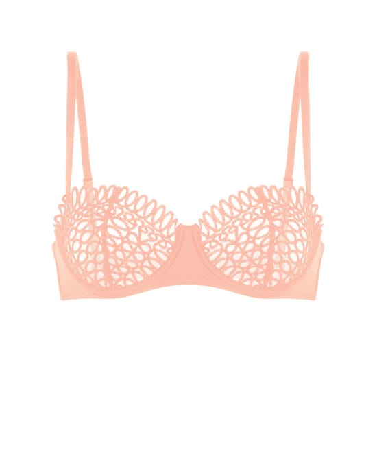 Embroidered basket bra;
