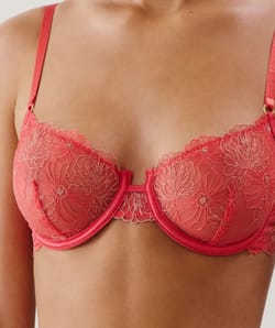 Soutien-gorge corbeille en mesh brodé fleuri rose;
