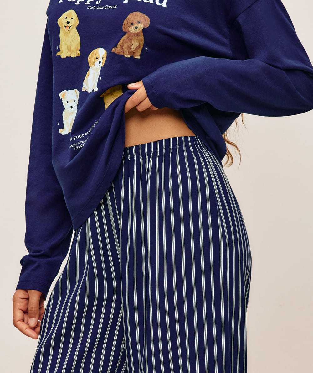 Dog pattern t-shirt and pants set;