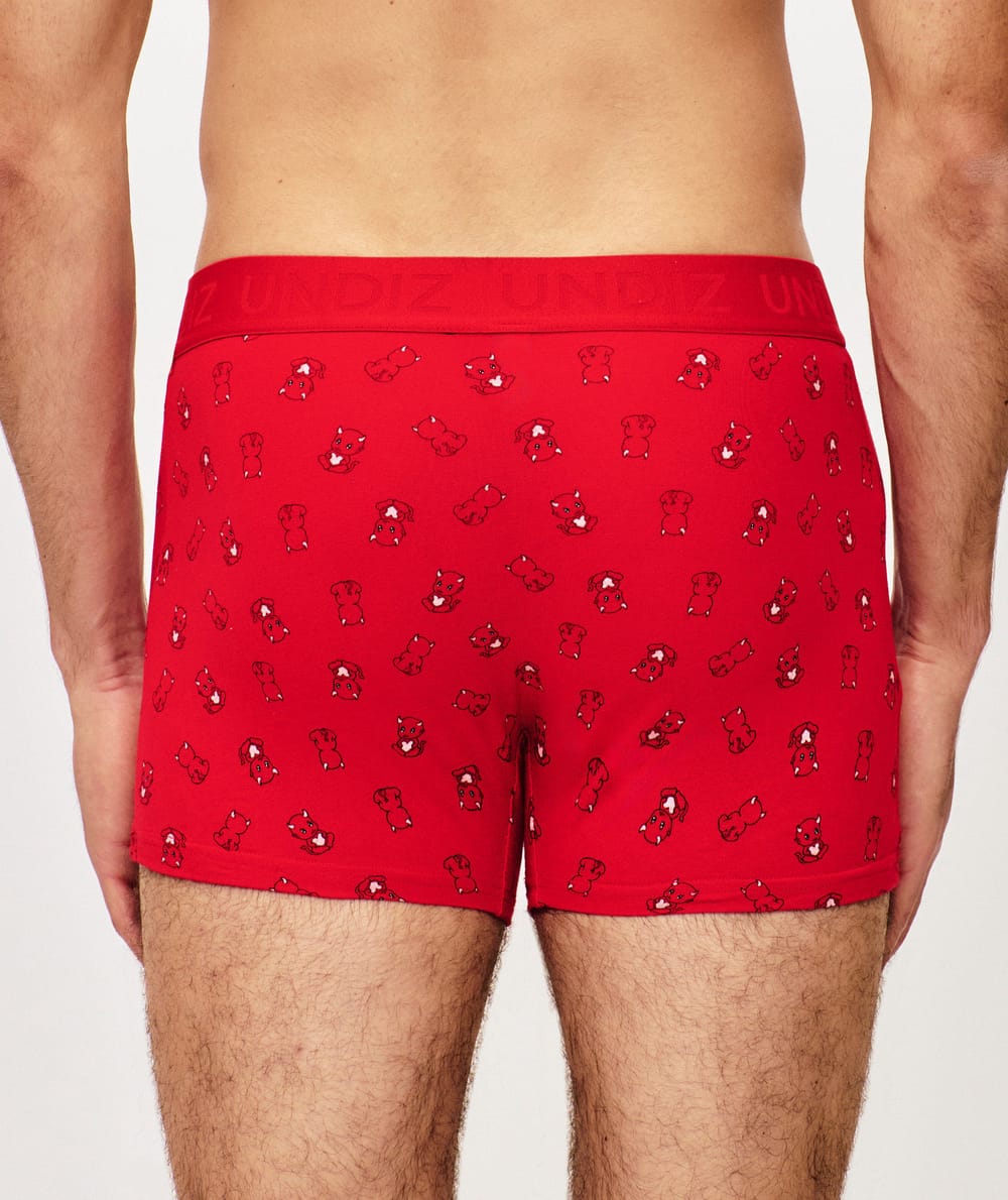Patterned cotton boxer shorts;