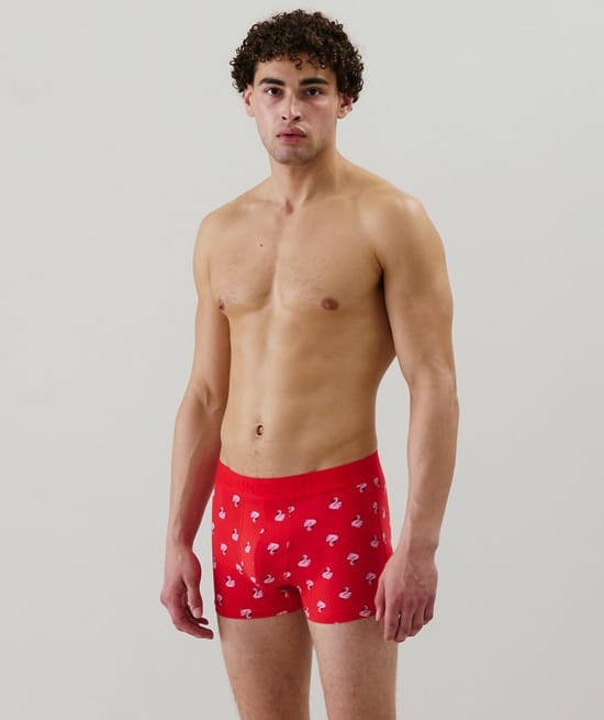 Cotton boxer shorts with pattern;