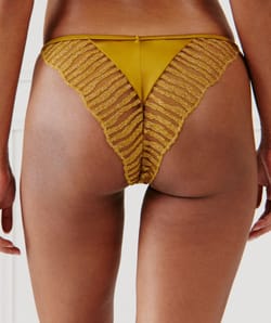 Embroidered microfibre briefs;