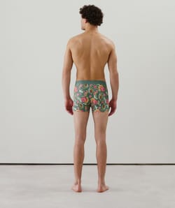 Cotton boxer shorts with pattern;
