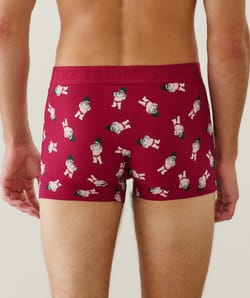 Boxer shorts with gnome pattern;