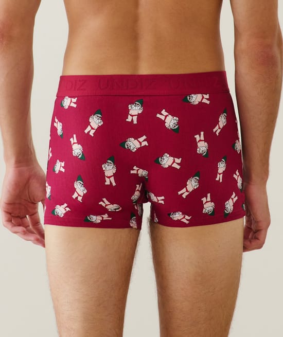 Boxer shorts with gnome pattern;