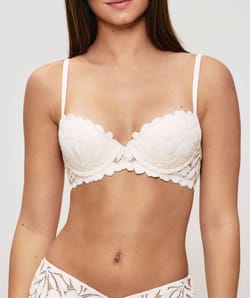 Push-up lace bra;