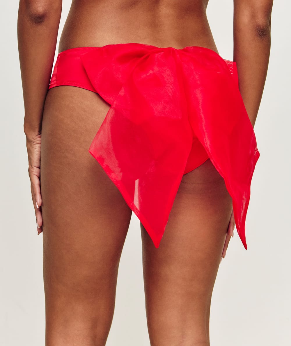 Satin cheeky with bow;