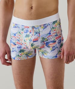 Cotton boxer shorts with pattern;