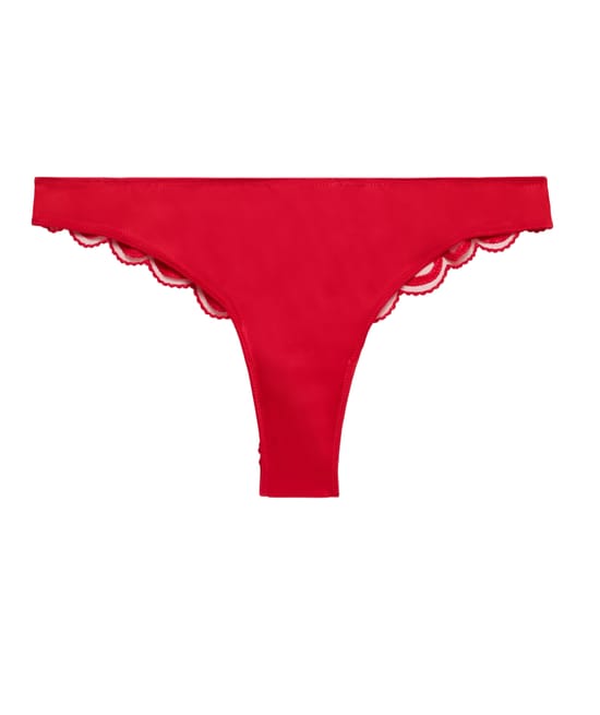 Mesh tanga briefs with embroidery;