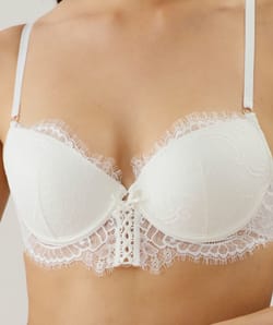 Lace push-up bra;
