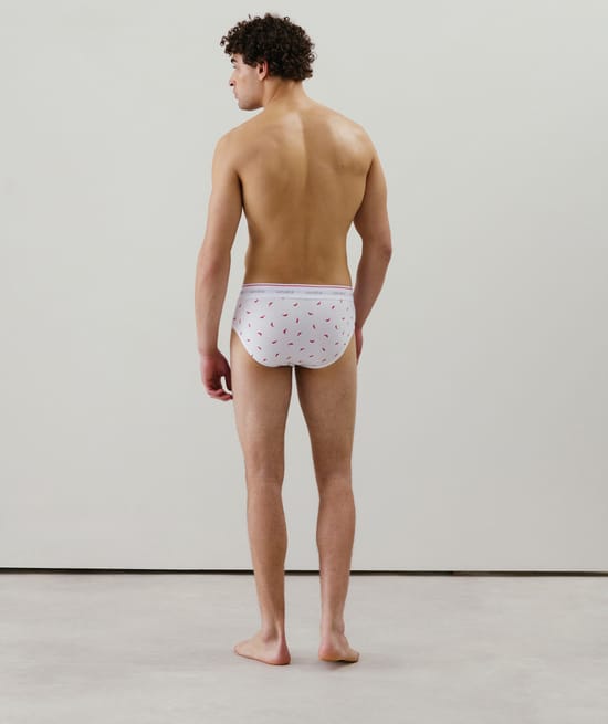 Patterned briefs;