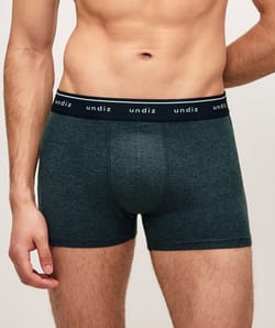 Plain cotton boxer shorts;