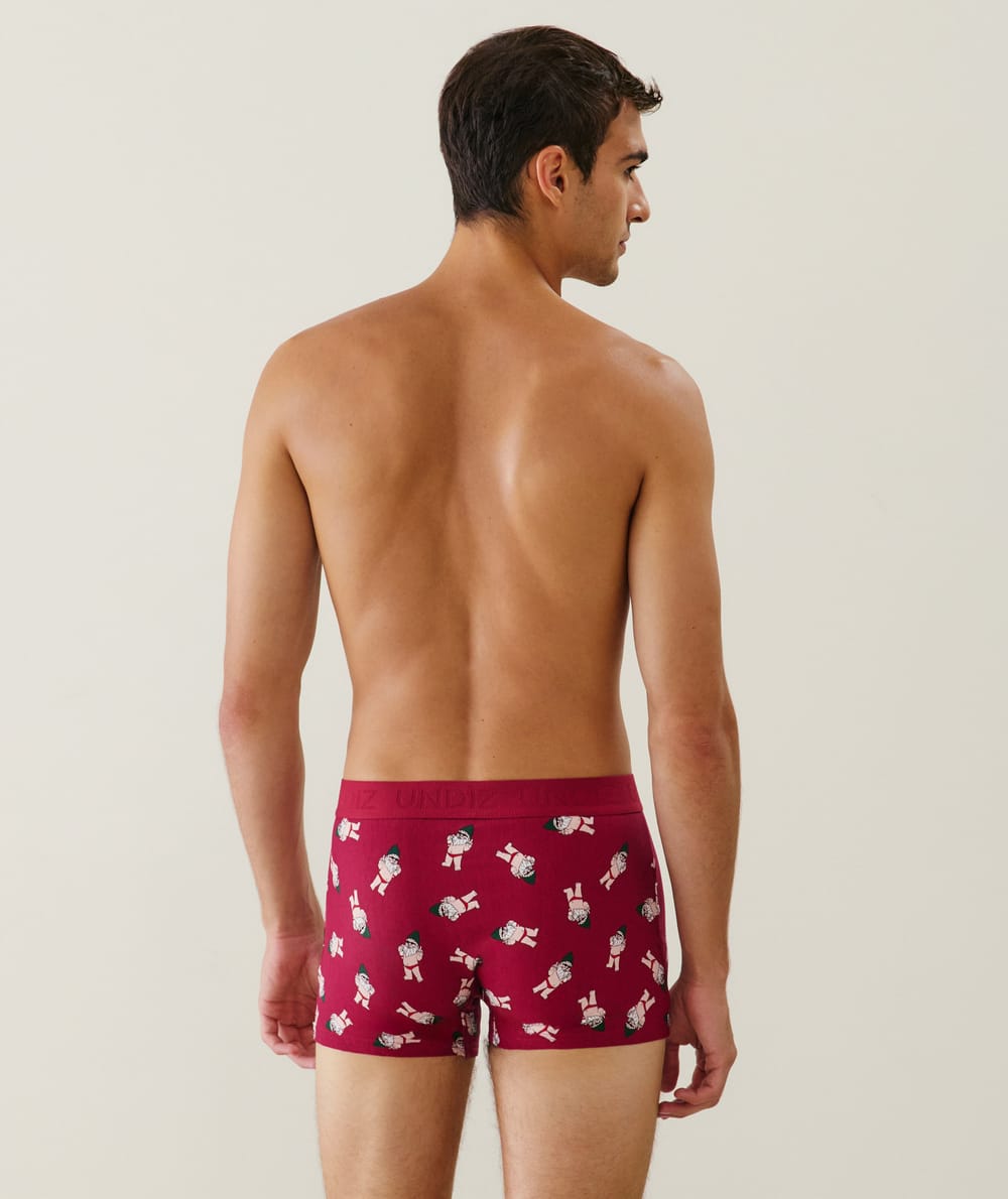 Boxer shorts with gnome pattern;