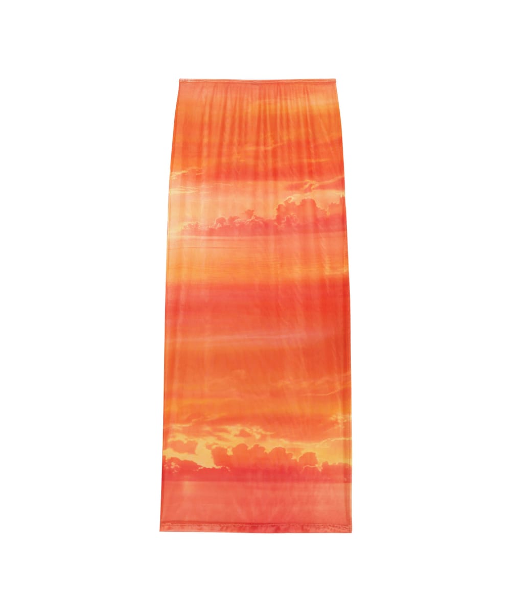 Long mesh skirt;