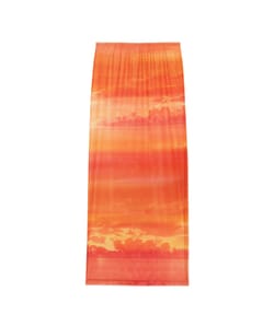 Long mesh skirt;