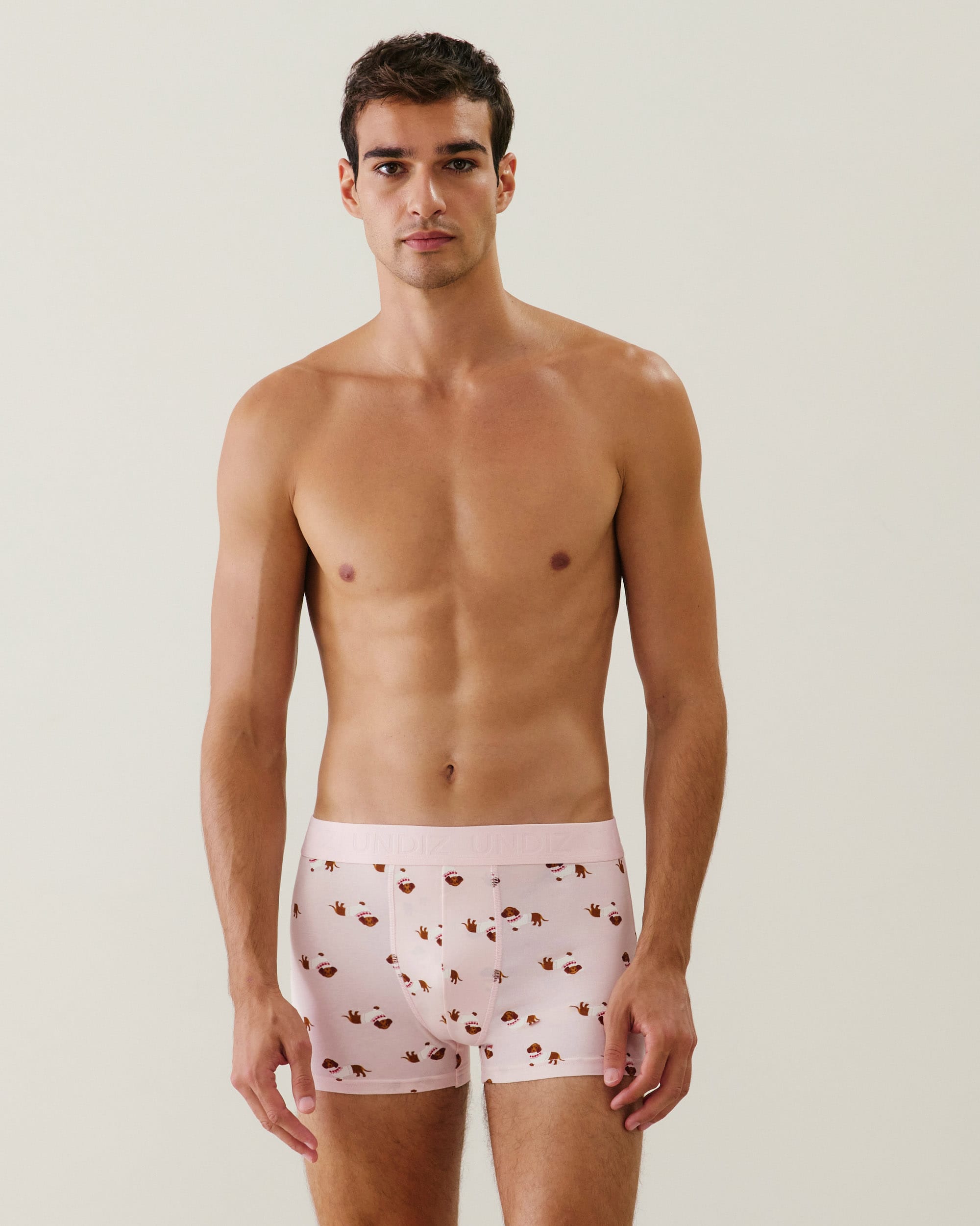 Cotton boxer shorts with dachshund pattern - pink - Undiz