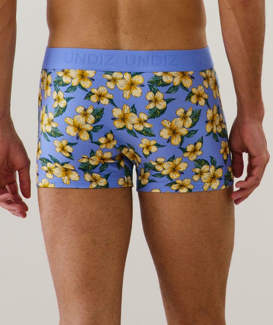 Cotton boxer shorts with pattern;