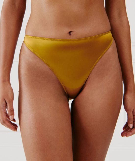 Embroidered microfibre briefs;