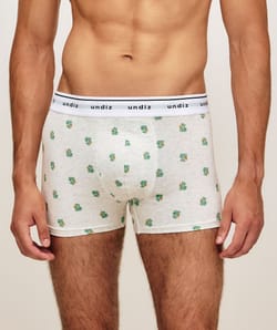 Boxer en coton imprim&eacute; canards;
