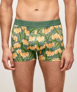 Boxer en microfibre motifs bananes;
