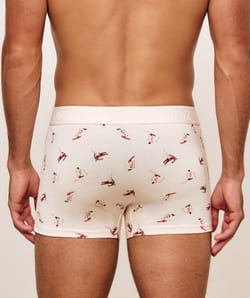 Boxer en coton imprim&eacute; skieurs;