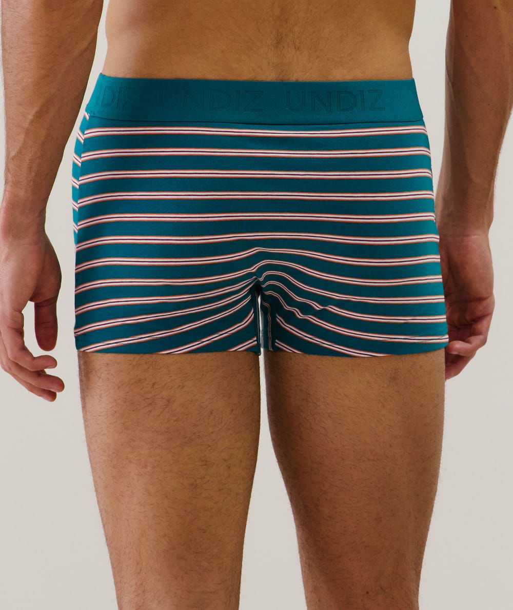 Cotton striped boxer shorts;