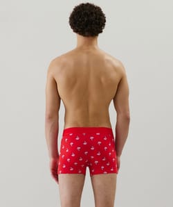 Cotton boxer shorts with pattern;