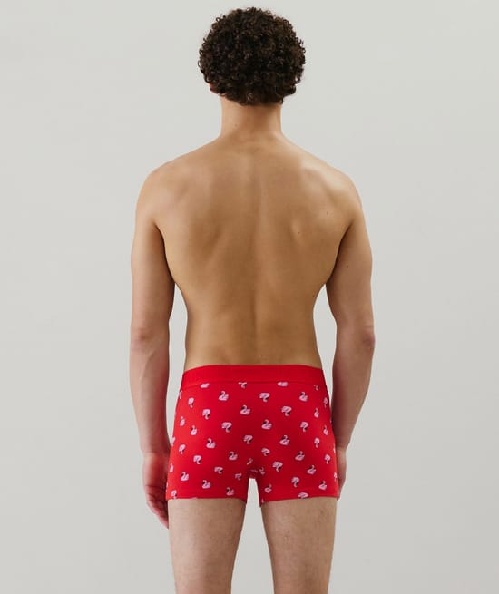 Cotton boxer shorts with pattern;